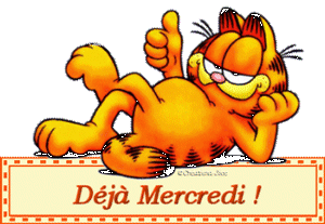 Gif animé Bon mercredi Garfield